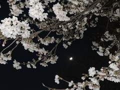 신재현, 그리고 티카.