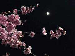 [은예 단편] 헤어짐의 끝