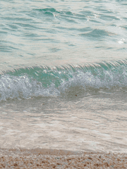 단지 지나가던 열병이 아니였더라