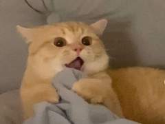 강커피 알바 구해요