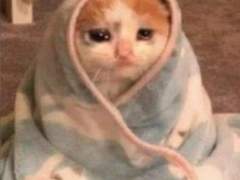 점심먹기 힘들다