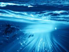 바다를 닮은 절망