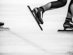 대한스포츠영재육성회참가신청서