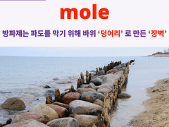 mole