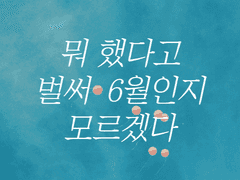 23년 상반기 보고