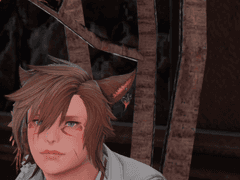 밤비사진출장 운영글