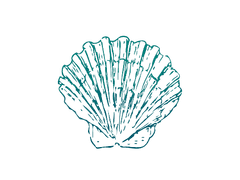 Epilogue : 조개껍데기의 약속