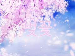 벚꽃