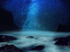 네 행위에 거짓 한 점 없다면,