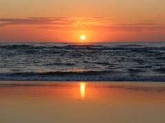 요란한 감정과 시끄러운 마음