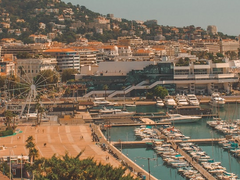 칸에서 생긴 일 下