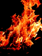 멸망한 세계에서 살아남는 세가지 방법