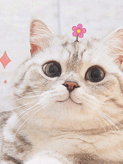 재벌 3세 가이드 센터 정복 ssul 