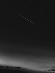 테스타 심즈 가두기