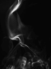 죽은 자를 마주하는 자