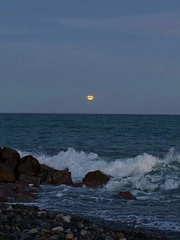 쪽빛 바다가 일렁일 때