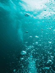 사랑하는 나의 바다에