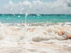 늑대소년 이민형과 정략혼인 <END>