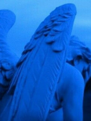 뉴트민호 썰 모음