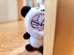 애타TV 포토톡도안