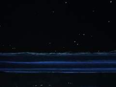 별이 보이지 않지만, 빛나는 그런 밤.