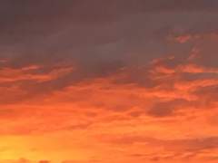 [살] 6/7 아직 잘 살아있어