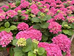 INTJ 첫 직장생활 1