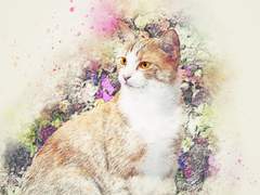 사랑은 원래 불편한 것, 편하다면 사랑이 아니다