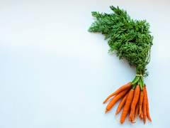 [뷔진] 당근, 당근당근당근