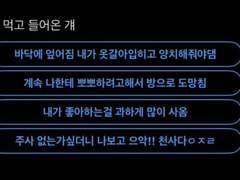 술 먹고 들어온 걔