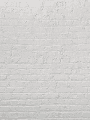 [긍놔] 썰 모음집