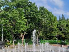 [나나] 6/7 "자소서와 무지개와 로망"