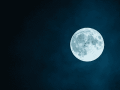 [백합] 밤을 나는 모기 외전