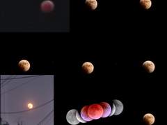 Pro. 2022년 11월 8일