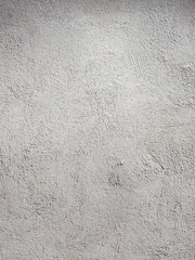 카메라가 갖고 싶었다