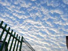 구름의 마리오네트