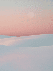 도리벤 카피페 드림 모음