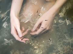 V가 사는 신기루