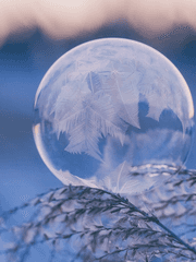 세상을 구한 게 끝이 아니었다