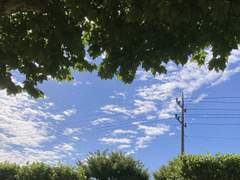 텔님 싸인 커미션 신청양식