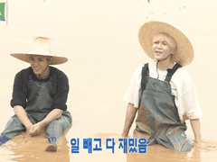 고잉세븐틴 분류해보자는거야