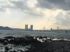 네냐플 배 요리대회