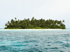 2023. 6월 작품선정목록