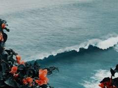 자캐 글 신뢰 커미션