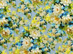 자유는 타자와 함께 나눌수록 커진다