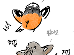 시골집 이야기1-3