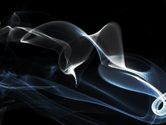 2n~3n｜男｜조반니 브루스카