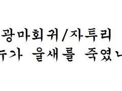 [광마회귀/자투리] 누가 울새를 죽였나