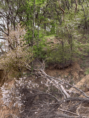 나와 바다와 시