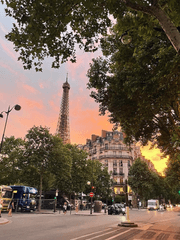 여름 밤 당도 100%